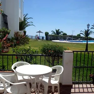 book here